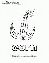 Corn Coloring Pages English Printable Noun Cob Stalk Drawing Printables Comments Cornstalk Getdrawings Library Clipart Popular Coloringhome Alphabet sketch template