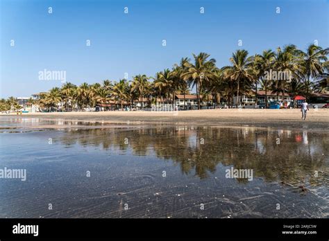 palmen am strand von kotu spiegeln sich bei ebbe im flachen wasser