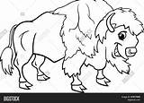 Bison Getdrawings Worksheet sketch template