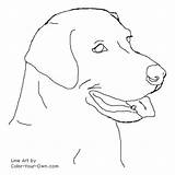 Labrador Coloring Retriever Lab Pages Dog Drawing Drawings Color Line Headstudy Easy Draw Labs Puppies Dogs Golden Face Puppy Colouring sketch template