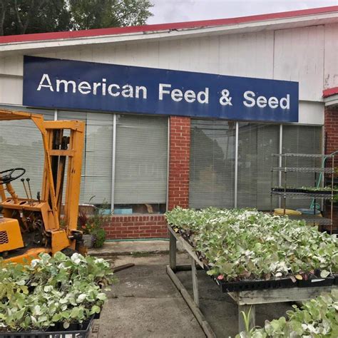 american feed  seed chester sc