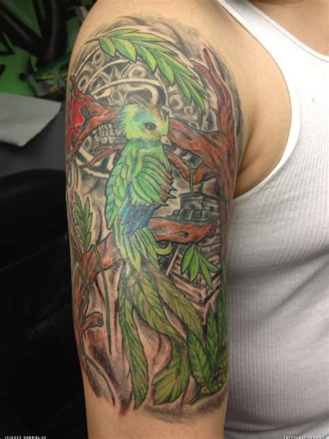 17 Best Images About My Quetzal Bird Tattoo On Pinterest Birds Clock