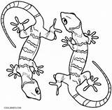 Lizard Gecko Eidechse Ausmalbilder Leopard Lagartija Geckos Cool2bkids Lagarto Malvorlagen Dibujar Bestcoloringpagesforkids Effortfulg Shimmer Shine sketch template