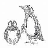 Mandala Pinguin Ausmalbilder Mandalas Penguins Tundra Pinguinos Malvorlagen Pinguine Vogel Ausdrucken Adorbs Desde sketch template