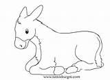 Asinello Presepe Nativity Bue Stampare Donkey Tuttodisegni Artigianato Asini Drw Stampae sketch template