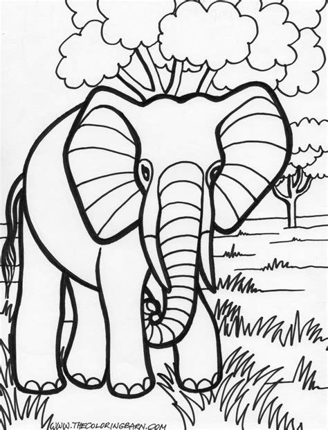 jarvis varnado  elephant coloring pages  kids