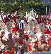 Billedresultat for Karneval de Santa Cruz de Tenerife. størrelse: 174 x 185. Kilde: rove.me