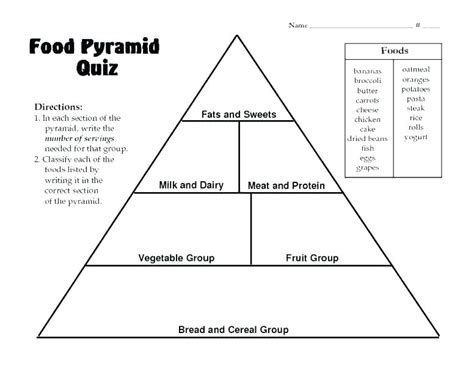 blank food web template templates  templates