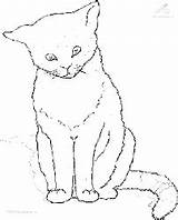 Poes Kleurplaten Poezen Katze Katten Kat Katzen Ausmalen Bilder Ausdrucken Kleuren Ausmalbild Dieren Malvorlage Zittende Simpele Printen Hondjes Stappen sketch template