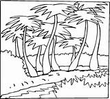 Palmeras Colorir Palmeira Vegetation Coloriage Palmier Kokospalmen Palme Ausmalbild Supercoloring Umriss Palms Imprimer Palmwedel Malvorlage Contorno Cocoteros Kategorien Imprimé Castiglione sketch template