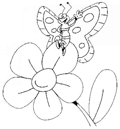 butterfly  flowercoloring pages  coloring pages
