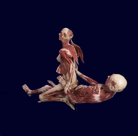 display of flayed corpses having sex “revolting” sankaku complex