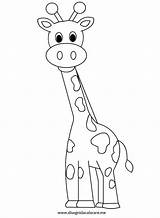 Giraffa Colorare Disegni Animali sketch template