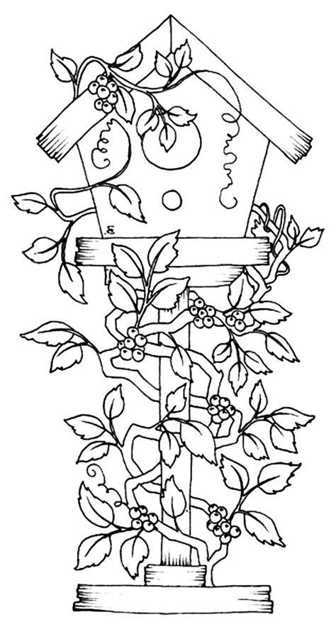bird house covered  flowers coloring pages bird house covered