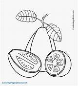 Guava Goiaba Fruits Laranja Colorir Getcolorings Guavas Tudodesenhos sketch template
