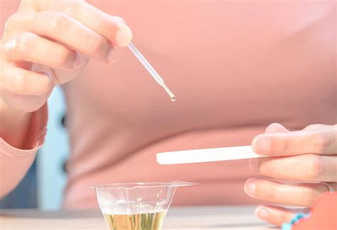 normal urine test results chart  pregnancy