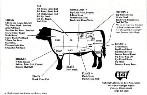 nibble  cut  beef primal cuts