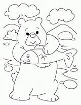 Bear Coloring Pages Pisces Grizzly Build Brown Dear Printable Kids Printables Clipart Popular Getdrawings Template Getcolorings Library Books Cartoon sketch template