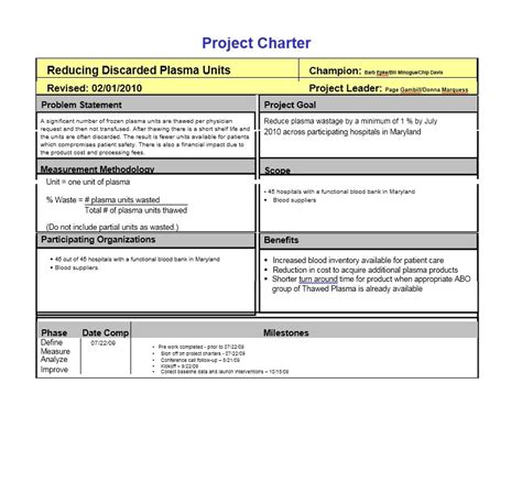 project charter excel template    printable templates