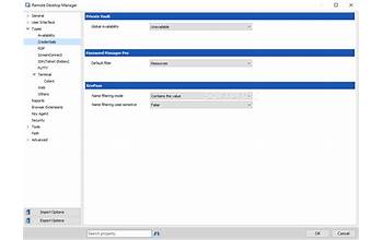 Remote Desktop Manager Enterprise Edition screenshot #1