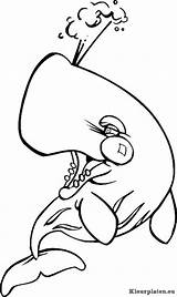 Kleurplaat Zeedieren Potvis Dieren Binatang Laut Coloring Seetiere Mewarnai Hewan Colorare Animasi Bergerak Animaatjes Marini Kleurplatenwereld Malvorlage Ausmalbild Beoordelingen Animate sketch template