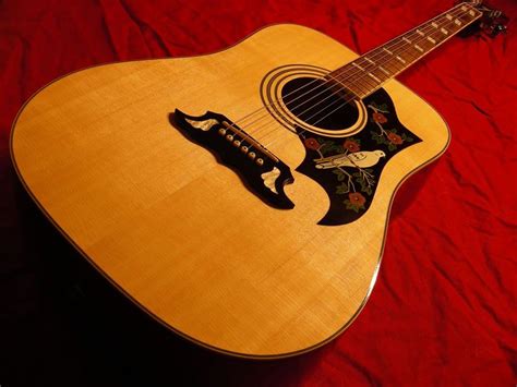 gibson dove acoustic guitar acoustic guitar