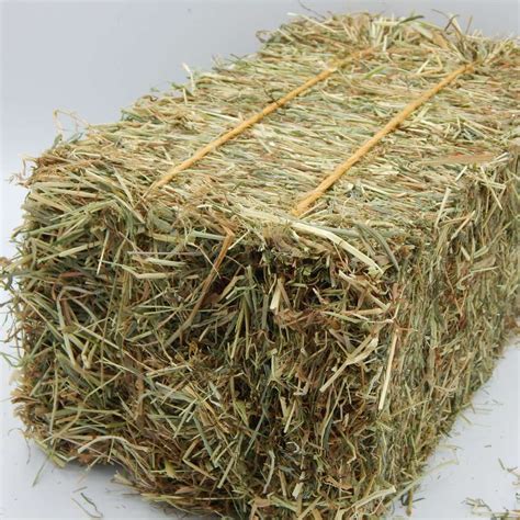 baby bale premium sweet green meadow hay justrabbits