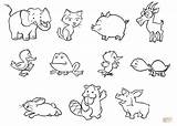 Animals Coloring Baby Pages sketch template