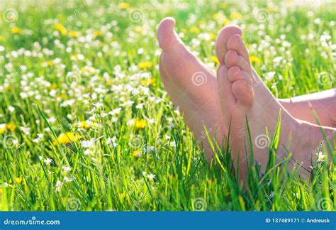 bare feet  spring grass stock image image  female