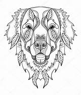 Golden Retriever Zentangle Vector Doodle Drawing Dog Stock Line Illustration Getdrawings Depositphotos sketch template