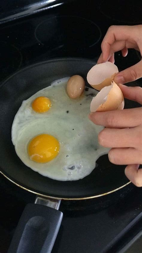 friends egg   tiny egg    rmildlyinteresting