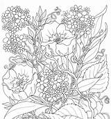 Coloring Summer Pages Flowers Printable Adults Adult Online Color Colouring Flower Print Sheets Coloriage Adulte Google Es Getcolorings Therapy Flores sketch template
