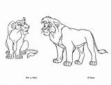 Zira Kovu Procoloring Simba Nala sketch template