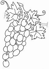 Coloring Grapes Pages Vegetables Fruits Strawberry Acorn Print sketch template