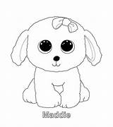 Beanie Ty Coloring Pages Kleurplaten Boos Maddie sketch template