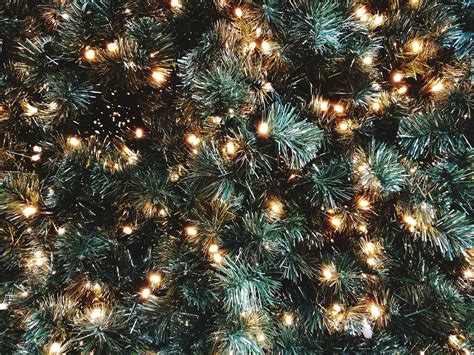 put lights   christmas tree realestatecomau