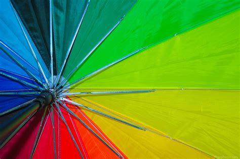 umbrella colors  image