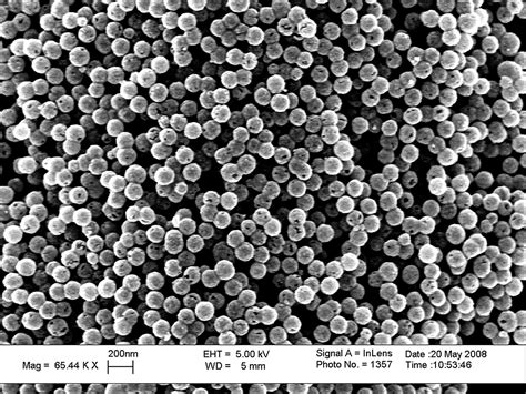 scientific image gold nanoshells sem nise network