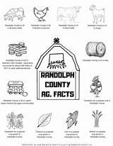 Ag Coloring Sheet Randolph Facts County sketch template