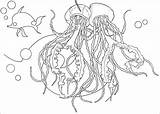 Shark Tale Jellyfish Coloring Pages Handcraftguide Zip sketch template