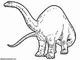Para Colorear Dinosaurios Coloring Dibujos Popular Sin sketch template