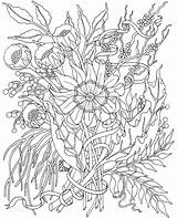 Coloring Meadow Print Flowers Adults Relaxing sketch template