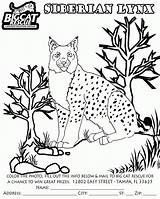 Lynx Coloring Pages Kids Siberian Canada Coloringbay Popular Animals Getcolorings Library Coloringhome Codes Insertion sketch template