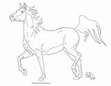 Arabian Horse Line Deviantart Coloring Pages Drawings Drawing Horses Realistic Visit sketch template