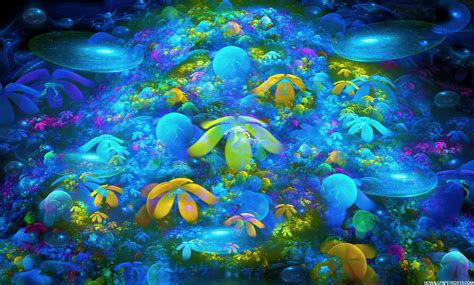 coral reef wallpaper high definition wallpapers high definition backgrounds