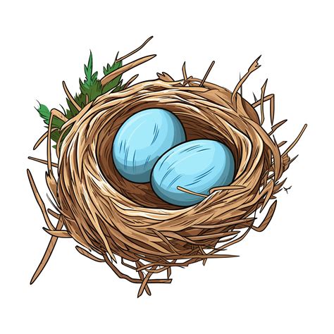 bird nest  egg clipart illustration   bird nest  egg