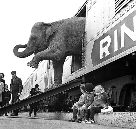 as the ‘greatest show ends historic photos of ringling bros and