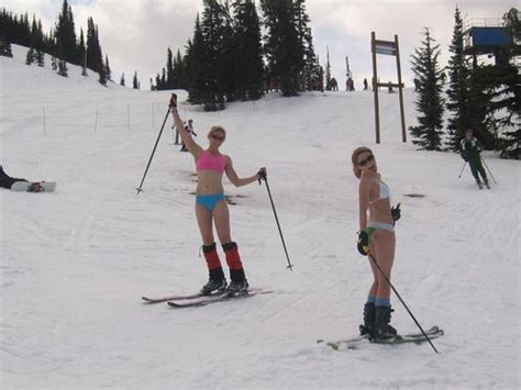 ski club loses domain name to sex toy site doesn t blame