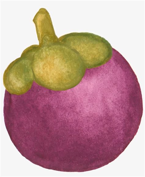 gambar buah buahan animasi png gambar buah buahan