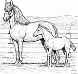 Coloring Family Horse Pages Printable sketch template